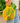 Turtle Bags Organic Short Handled String Bag Sunflower - Bumble Living