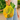 Turtle Bags organic short-handled string tote bag with a sunflower pattern, eco-friendly design, lightweight and reusable.