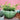 Verde Shell Planter - Bumble Living