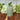 Verte Rustic Pillar Candle 40 hours - Bumble Living