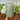 Verte Rustic Pillar Candle 90 hours - Bumble Living