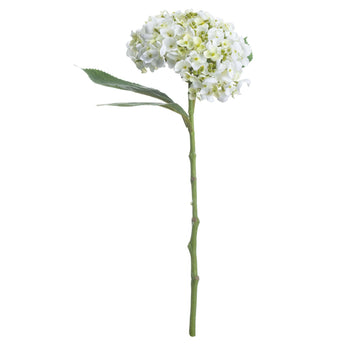 Artificial white lace cap hydrangea flower on a single stem, perfect for floral arrangements and home decor by Hills Interiors.