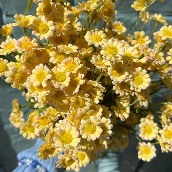 Single stem of Wild Mini Yellow Daisy faux flowers by Lotus Imports Ltd, showing vibrant yellow petals and green foliage.