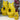 Large yellow Gluggle Jug by The Gluggle Jug Factory, showcasing its classic design and vibrant color.