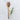 Acacia wooden spoon for kitchen use, crafted by Grand Illusions, with a smooth handle and a rounded spoon bowl for cooking and serving.