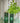 Basil Hydro-Herb Kit - Bumble Living
