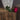 Single stem of Cerise Peony faux flowers by Hills Interiors, showcasing vibrant artificial peony blossoms with lush green leaves.