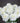Classic White Peony - Bumble Living