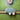 Coloured Mini Sheep Felt Decoration - Bumble Living