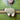 Coloured Mini Sheep Felt Decoration - Bumble Living