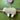 Coloured Sheep Felt Decoration - Bumble Living