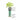 Curly parsley hydro-herb kit from Hydro-Herb featuring fresh curly parsley plants in a hydroponic growing system