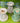 Eden Ceramic Flower Burner Assorted Colour - Bumble Living