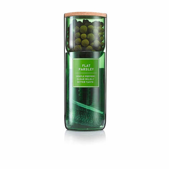 Flat parsley hydro-herb kit by Hydro-Herb with fresh parsley plants in a flat tray for hydroponic growing.
