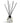 Freckleface Coconut & Sea Salt Reed Diffuser - Bumble Living