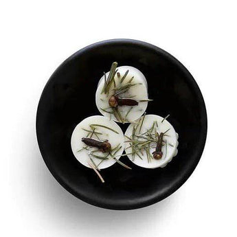Freckleface Evergreen Soya Wax Melts in a clear container with green and brown packaging, showcasing natural soy wax product.