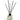 Freckleface Pomegranate Black Reed Diffuser with black and gold decorative reeds in a clear glass bottle.
