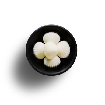Freckleface Sea Breeze Soya Wax Melts in a clear container, showcasing the fragrant wax pieces with a fresh, breezy scent.