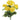 Geranium Bunch - Yellow - Bumble Living