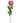 Harper Rose - Blush Pink - Bumble Living