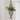 Decorative jute plant hanger from Grand Illusions holding a potted plant, showcasing natural woven texture and stylish design.