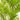 Artificial Large Paradise Potted Palm from Hills Interiors, lush green faux plant in a decorative pot, ideal for interior decor.
