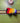 Mini Rainbow Sheep Felt Decoration - Bumble Living