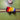Mini Rainbow Sheep Felt Decoration - Bumble Living