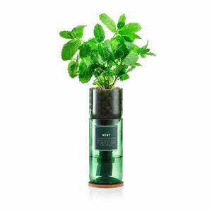Mint Hydro-Herb Kit - Bumble Living