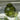 Moss green glass Bubble Round Jive Vase by Casa Verde with a textured, rounded shape for floral arrangements.
