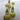 Moss Green Glass Candlestick - Bumble Living