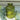 Moss Green Vertical Pattern Bottle Vase - Bumble Living