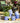 Old Style Dutch Pot Blue - 6 Assorted Designs - Bumble Living