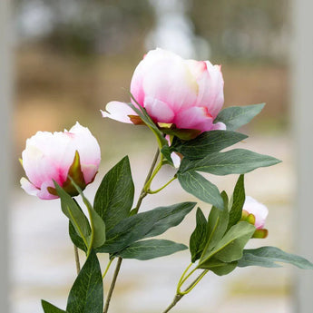 Light pink artificial peony spray with a single stem, suitable for floral arrangements, by Grand Illusions.