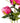 Peony Spray Pink - Bumble Living
