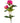 Peony Spray Pink - Bumble Living