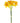 Ruffled Daffodil Bunch - Yellow - Bumble Living