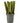 Rustic Dinner Candle Fern Green 23x270mm - Bumble Living