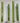 Rustic Dinner Candle Fern Green 23x270mm - Bumble Living