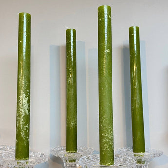 Fern green rustic dinner candle from Grand Illusions, 23x270mm, with a textured, natural finish and tapered shape.