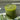 Fern green rustic pillar candle by Grand Illusions, 70x75mm, with textured wax surface and natural candle shape.