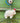 Sheep with Hat - Bumble Living