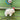 Sheep with Hat - Bumble Living