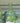 Spring Green Dots Bubble Vase - Bumble Living