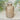 Casa Verde Stone Stem Design Bottle Vase with elegant stone-patterned surface and sleek shape for floral arrangements.