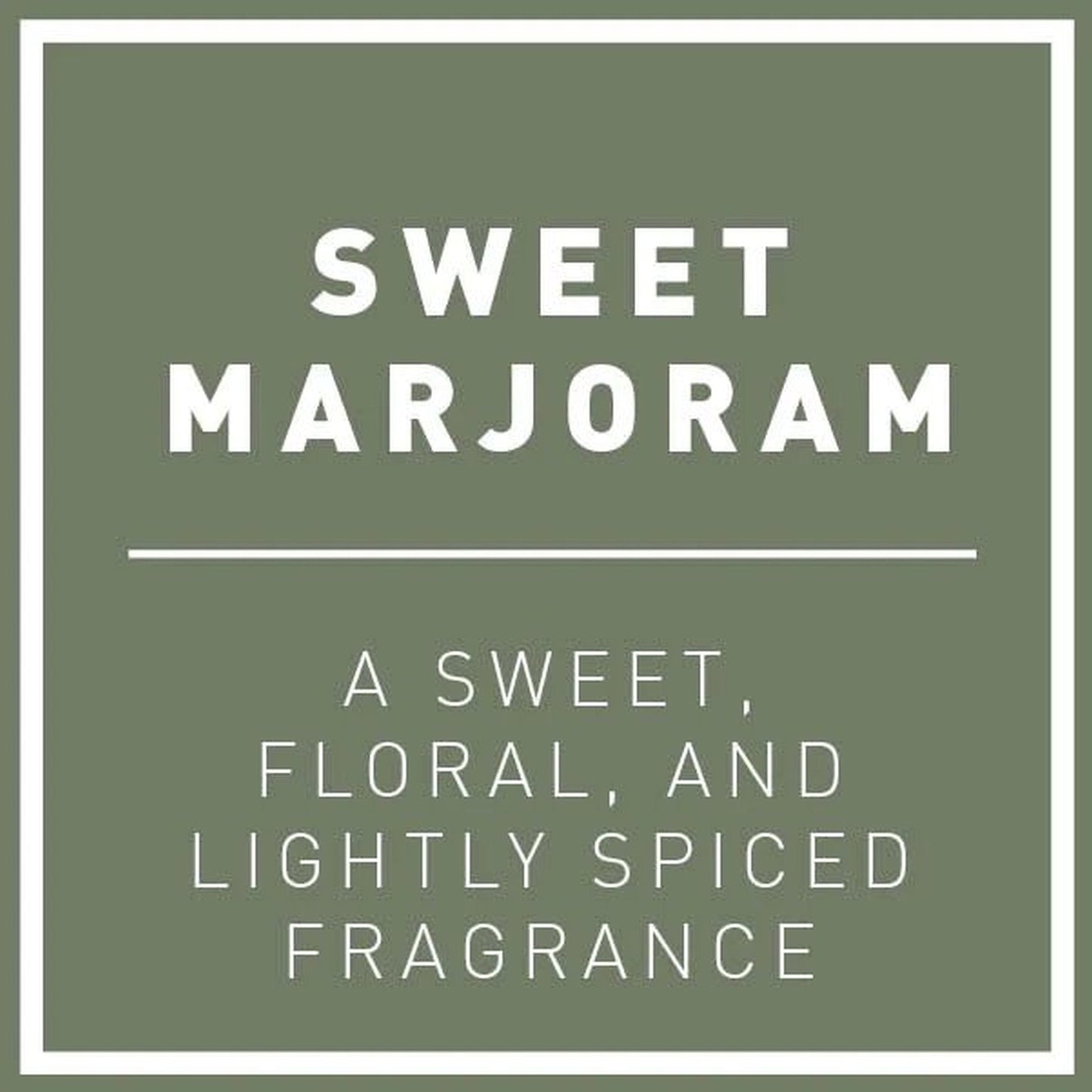 Sweet Marjaoram Hydro-Herb Kit - Bumble Living