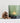Tea Light Holder Green/Grey - Bumble Living