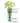 Thyme Hydro-Herb Kit - Bumble Living