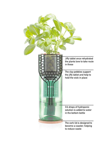 Hydro-Herb Thyme Hydro-Herb Kit showing fresh thyme plants growing in a hydroponic system designed for indoor herb gardening.