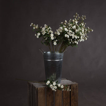 Artificial white wild meadow rose flower on a single stem, realistic Hills Interiors faux flower for floral decor.